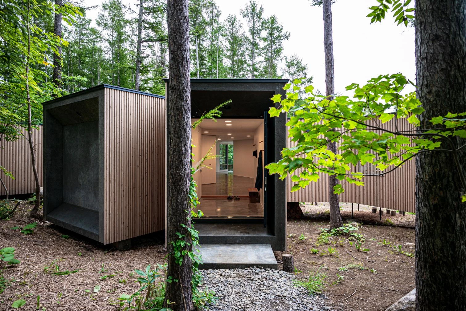 Casa en el bosque, Rankoshi
