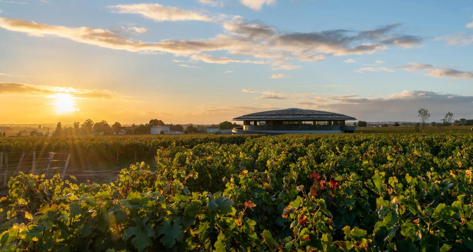 Le Dôme Winery, Saint-Émilion