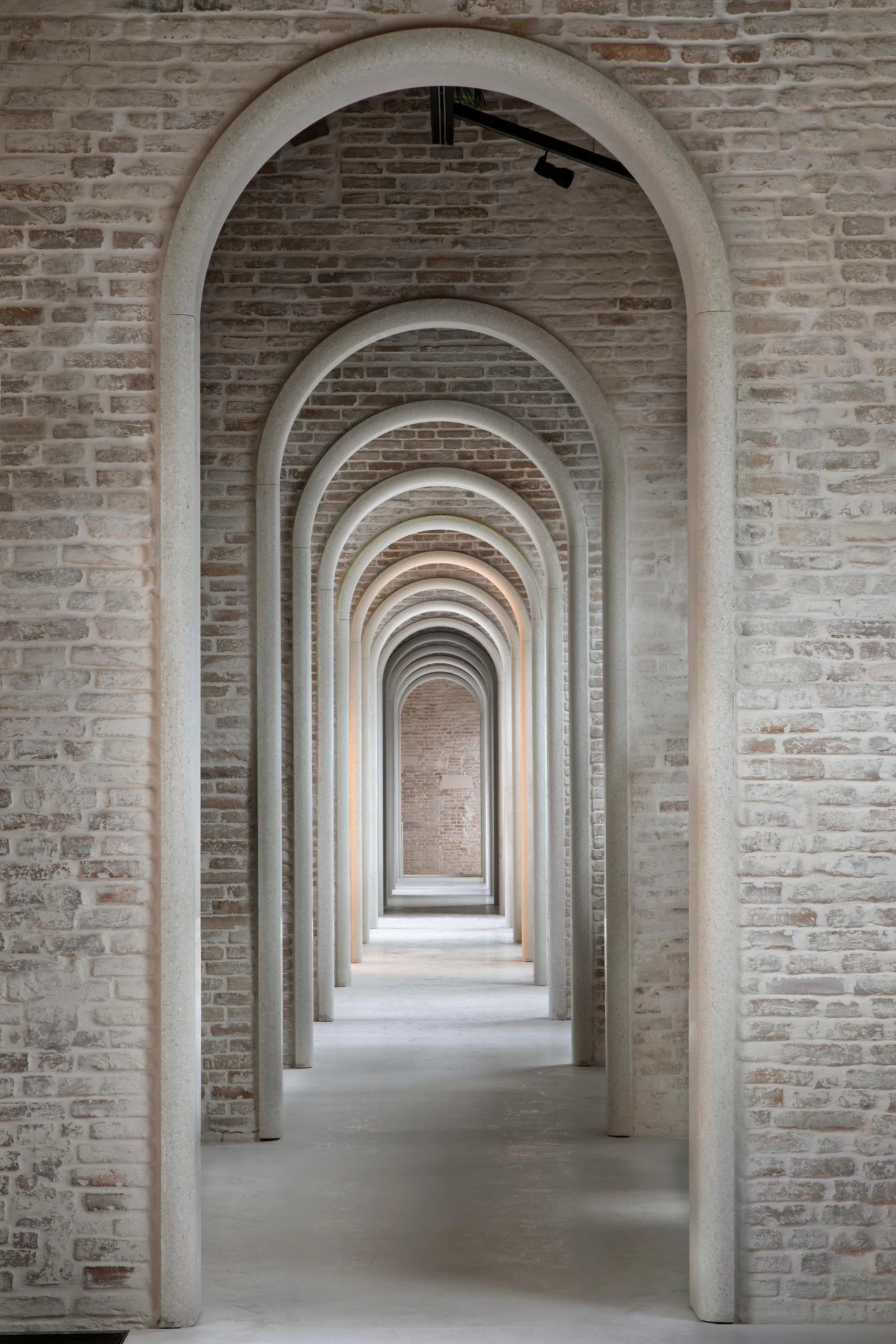 Procuradurías de Venecia