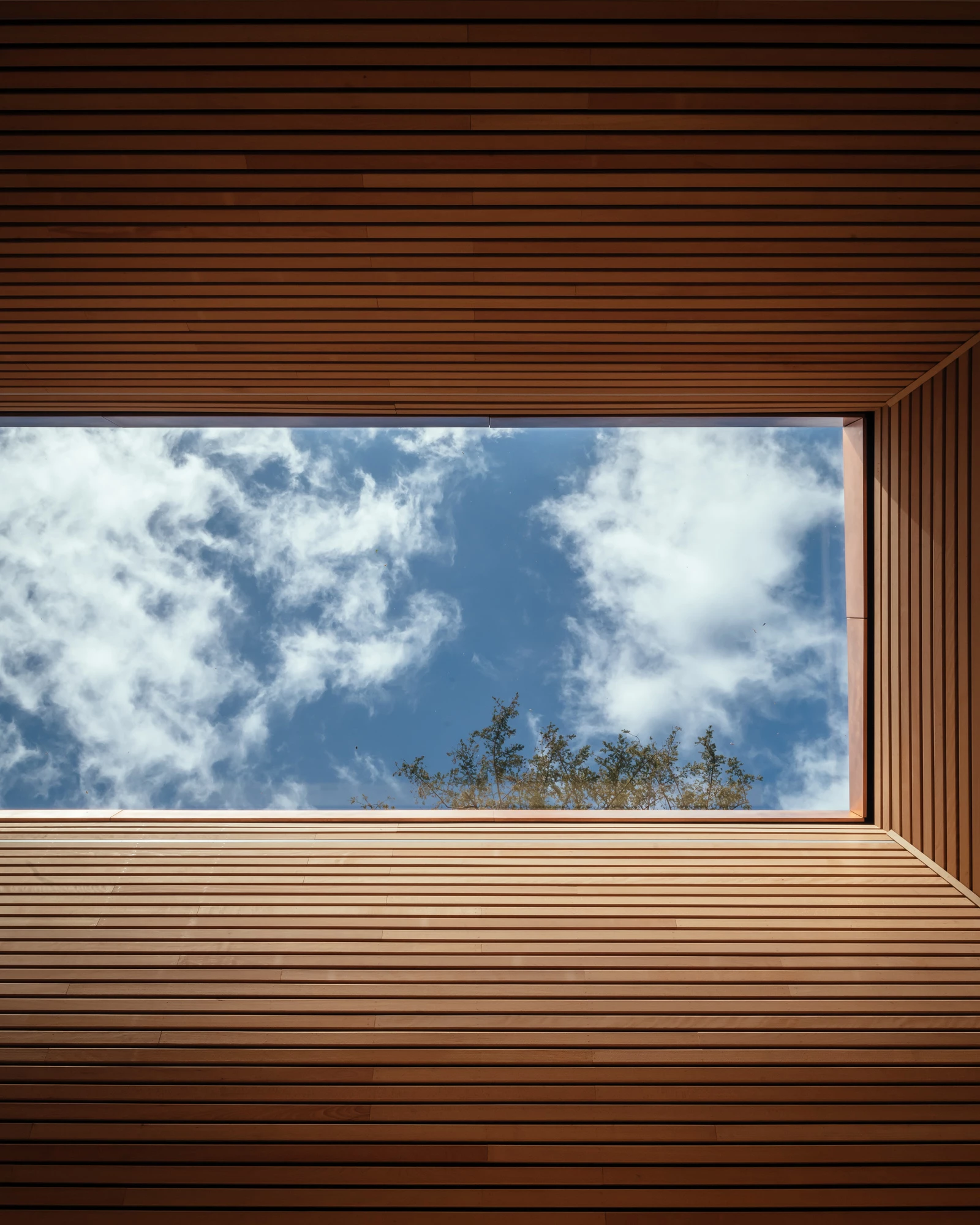 Invisible Studio adds rammed-earth yoga studio to The Newt in Somerset
