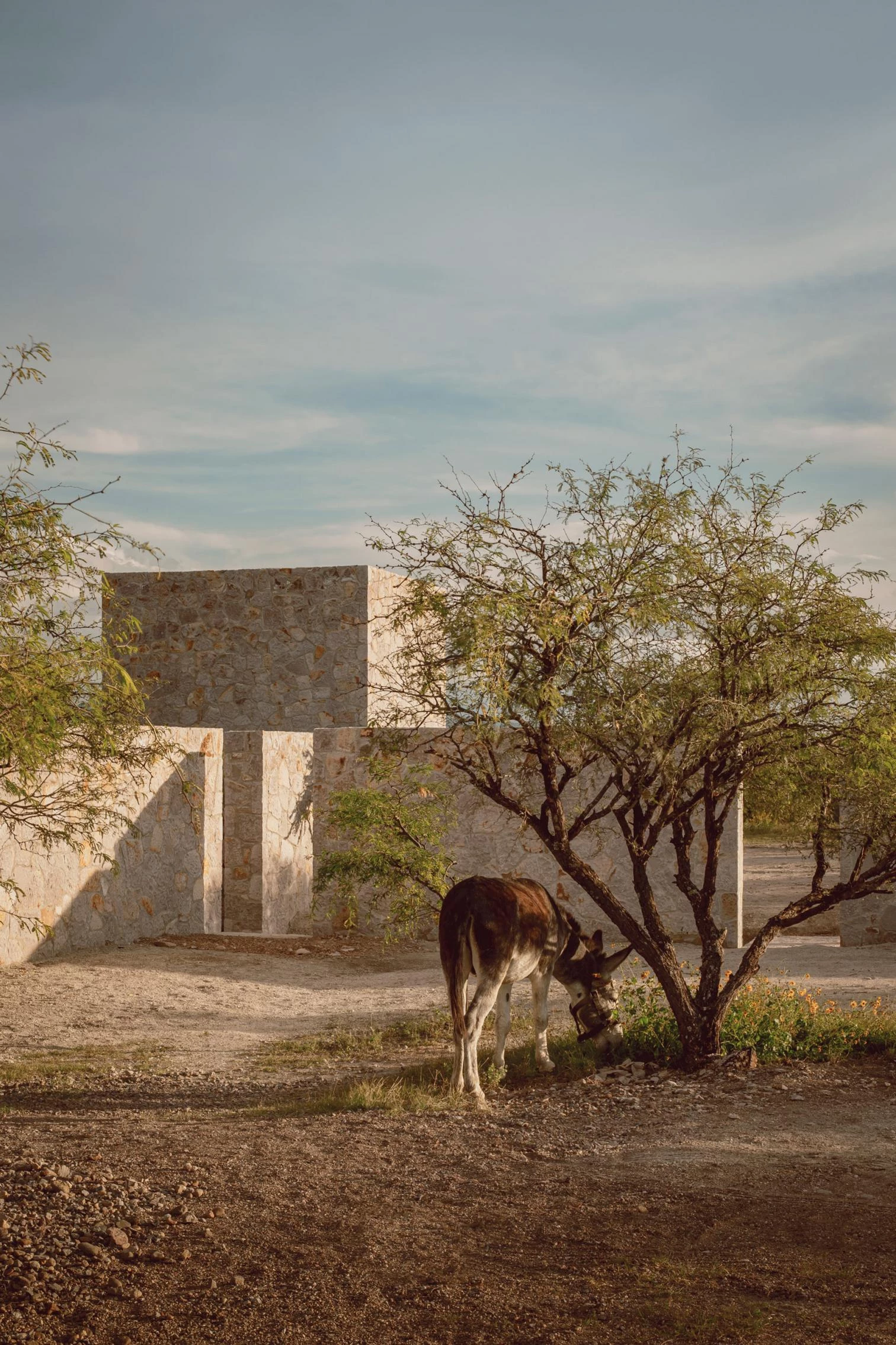 Casa Enso II en San Miguel de Allende