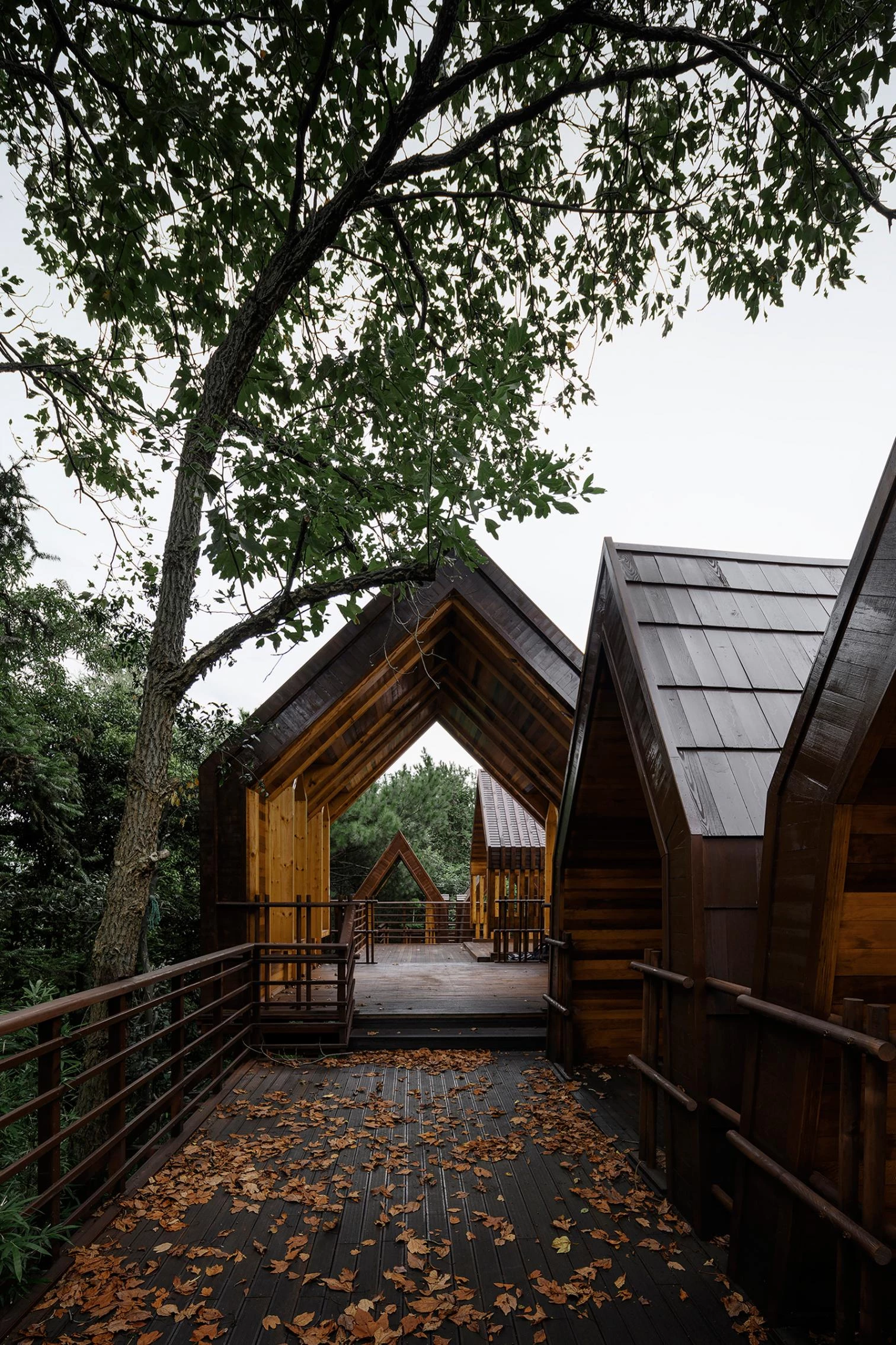 El pueblo de las cabañas de madera en Jiujiang