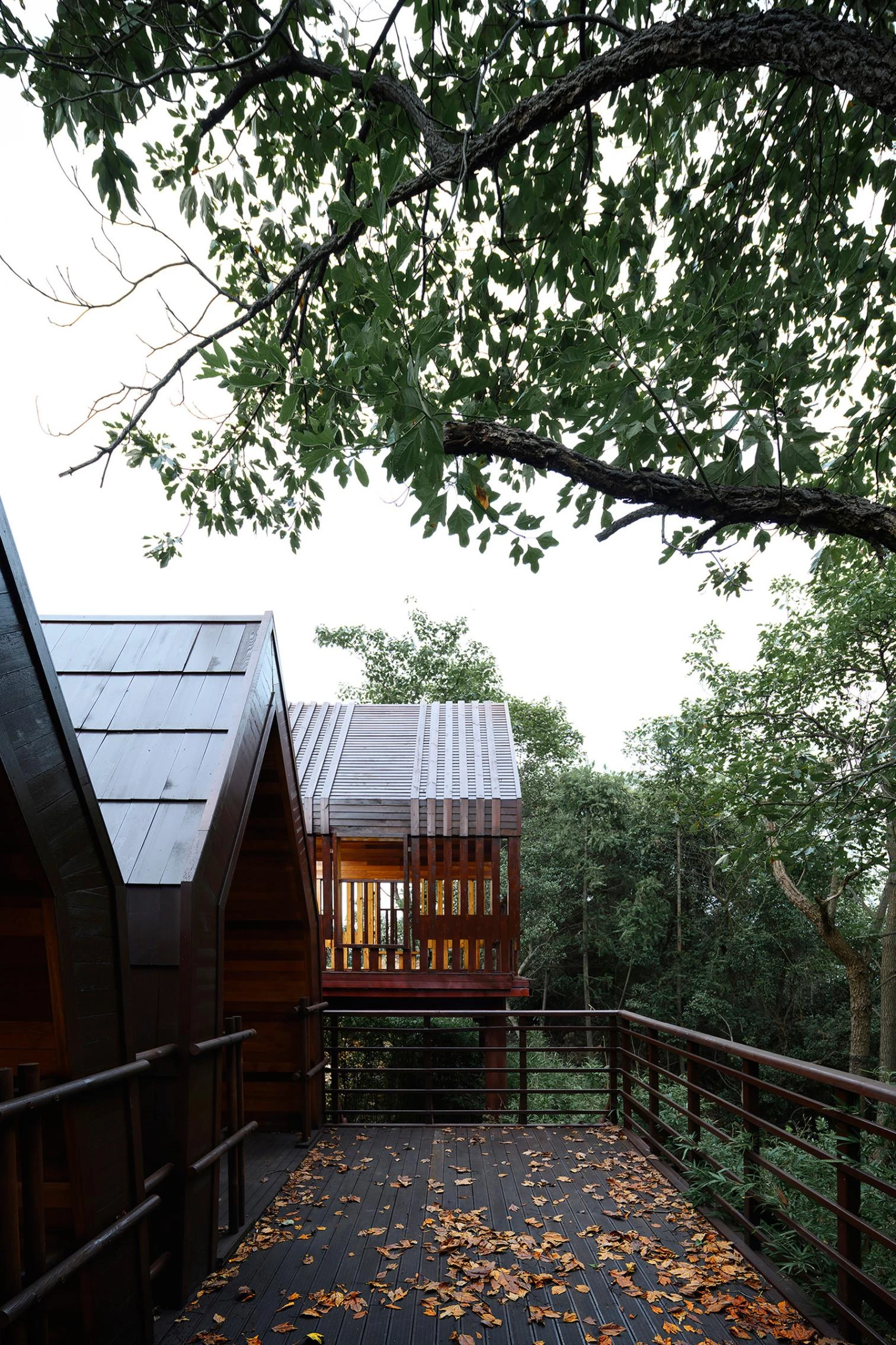 El pueblo de las cabañas de madera en Jiujiang