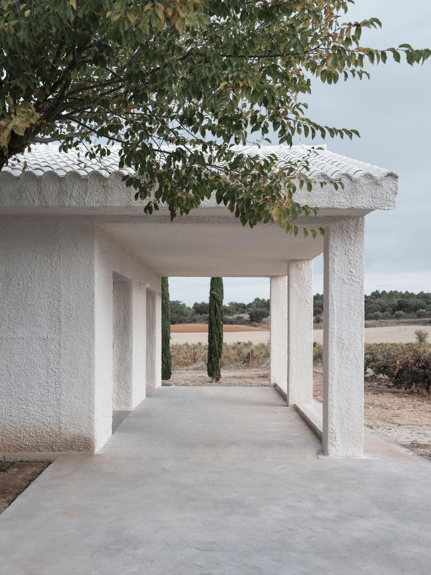Casa Primitiva en Guadalajara