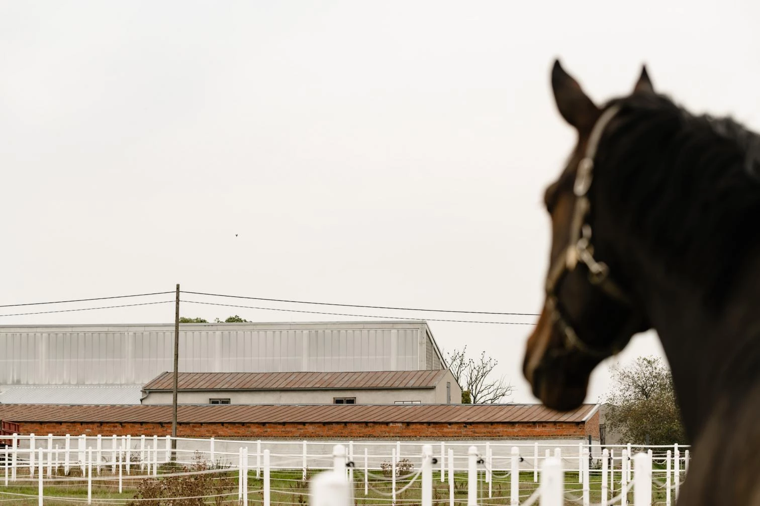 La Casa del Caballo en Jaroszewo
