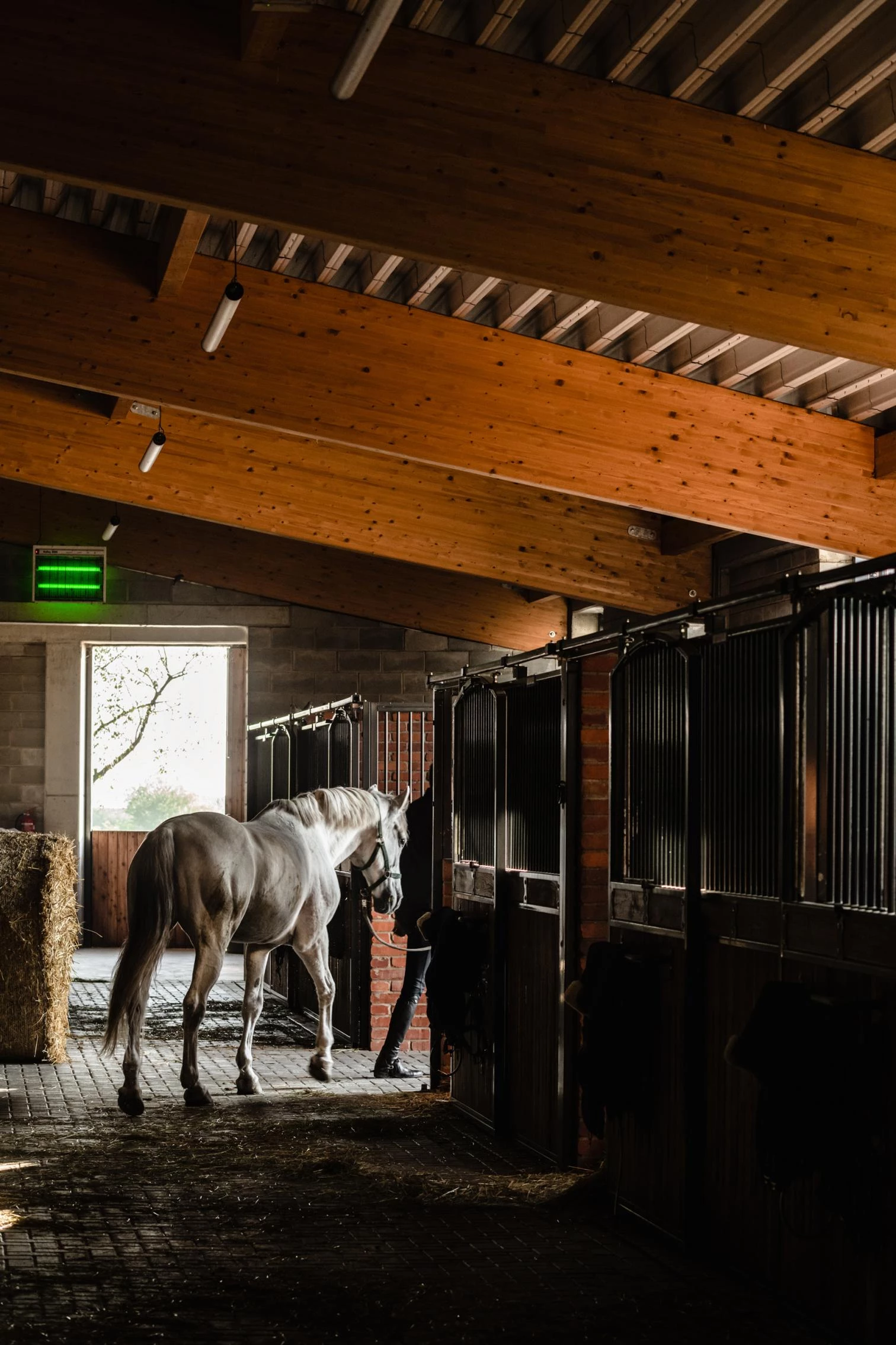 La Casa del Caballo en Jaroszewo