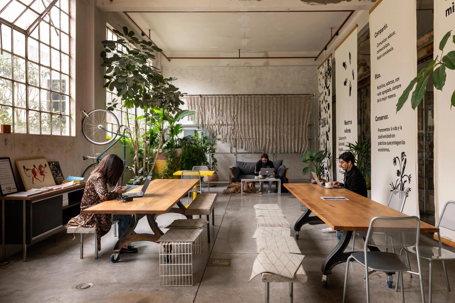 Espacio colaborativo Laguna en Ciudad de México