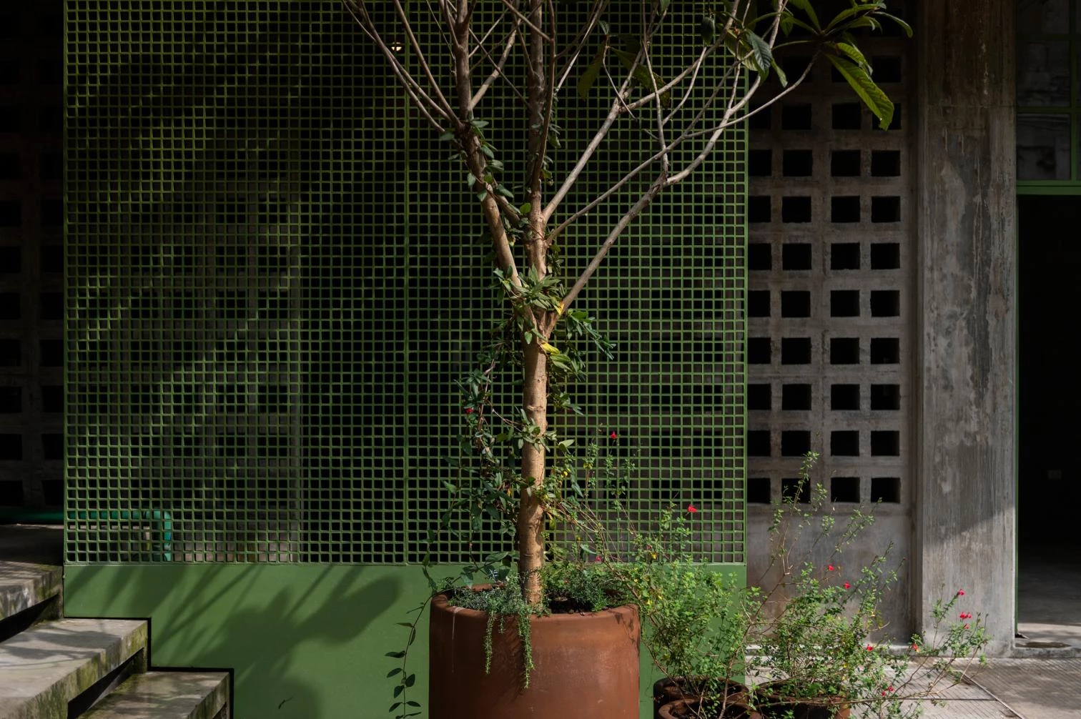 Laguna collaborative space in Mexico City