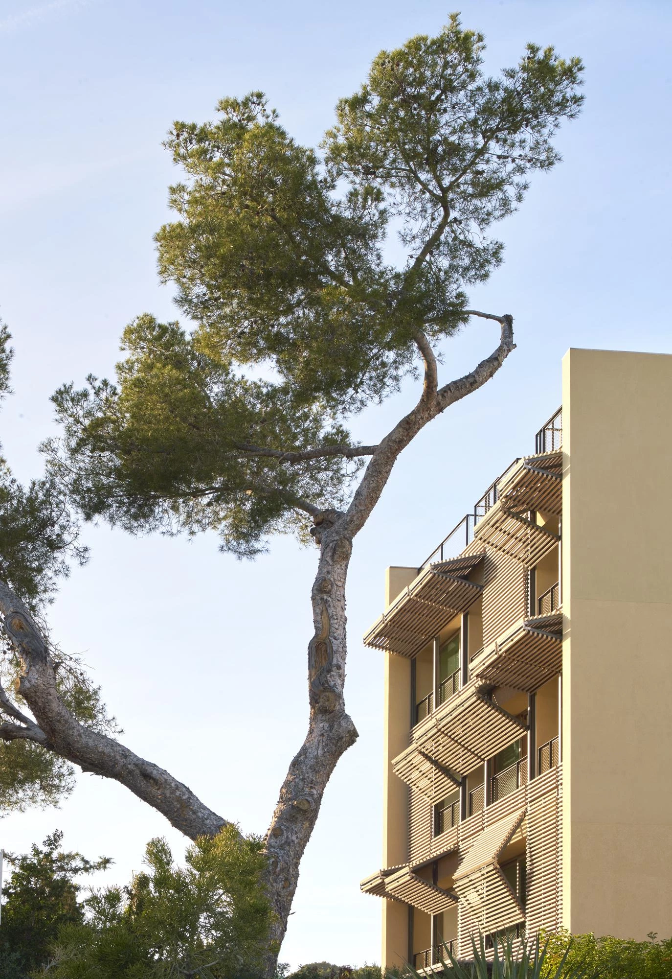 Paral-lel residential blocks in Palma de Mallorca