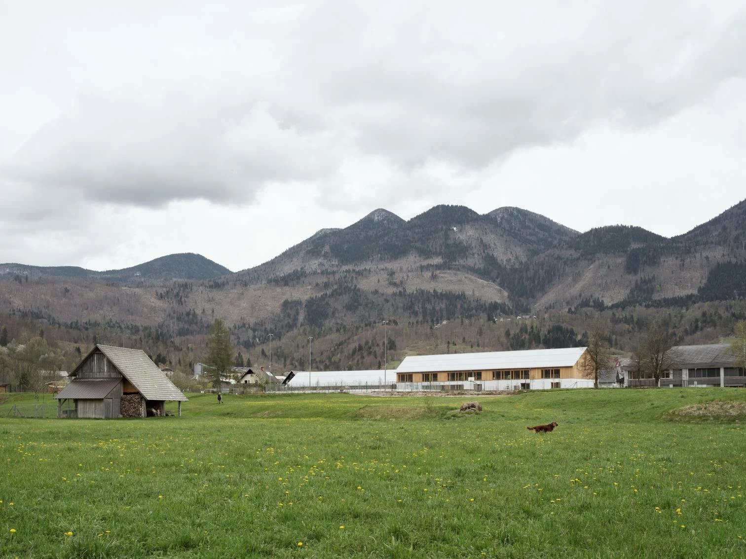 Kindergarten in Bohinj
