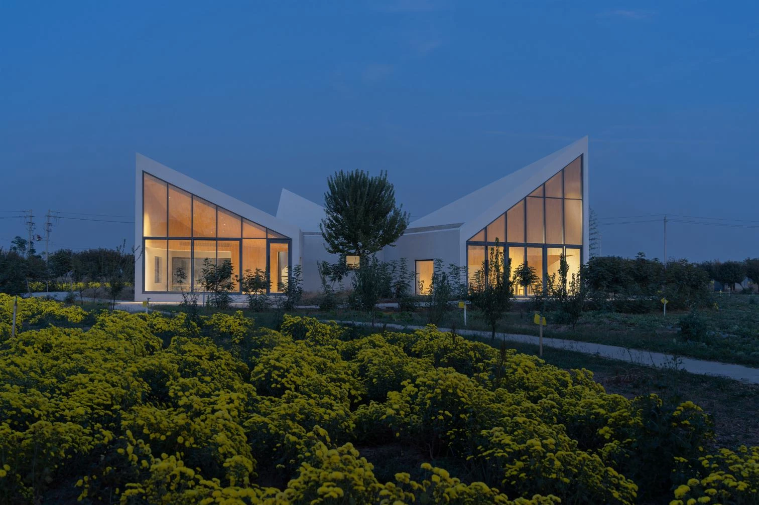 La Biblioteca en el Campo de Crisantemos de Hielo en Xiuwu