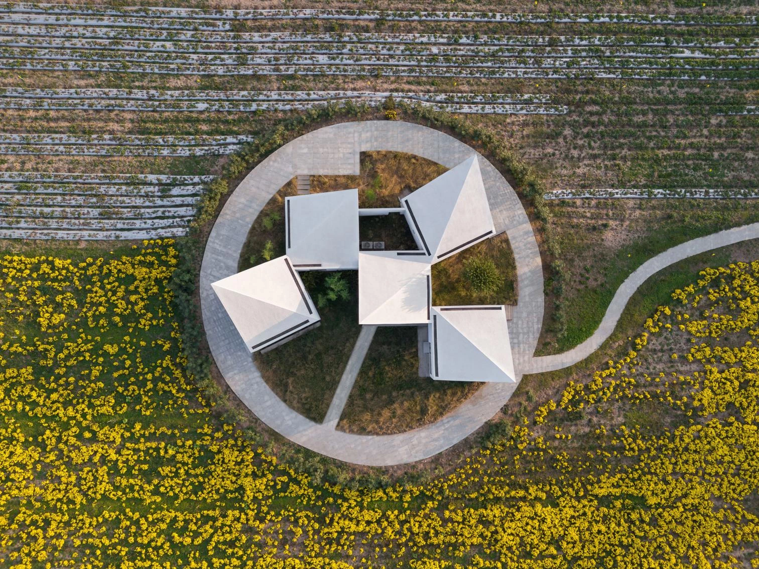 La Biblioteca en el Campo de Crisantemos de Hielo en Xiuwu