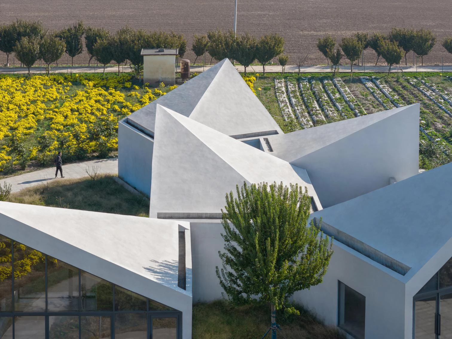 La Biblioteca en el Campo de Crisantemos de Hielo en Xiuwu