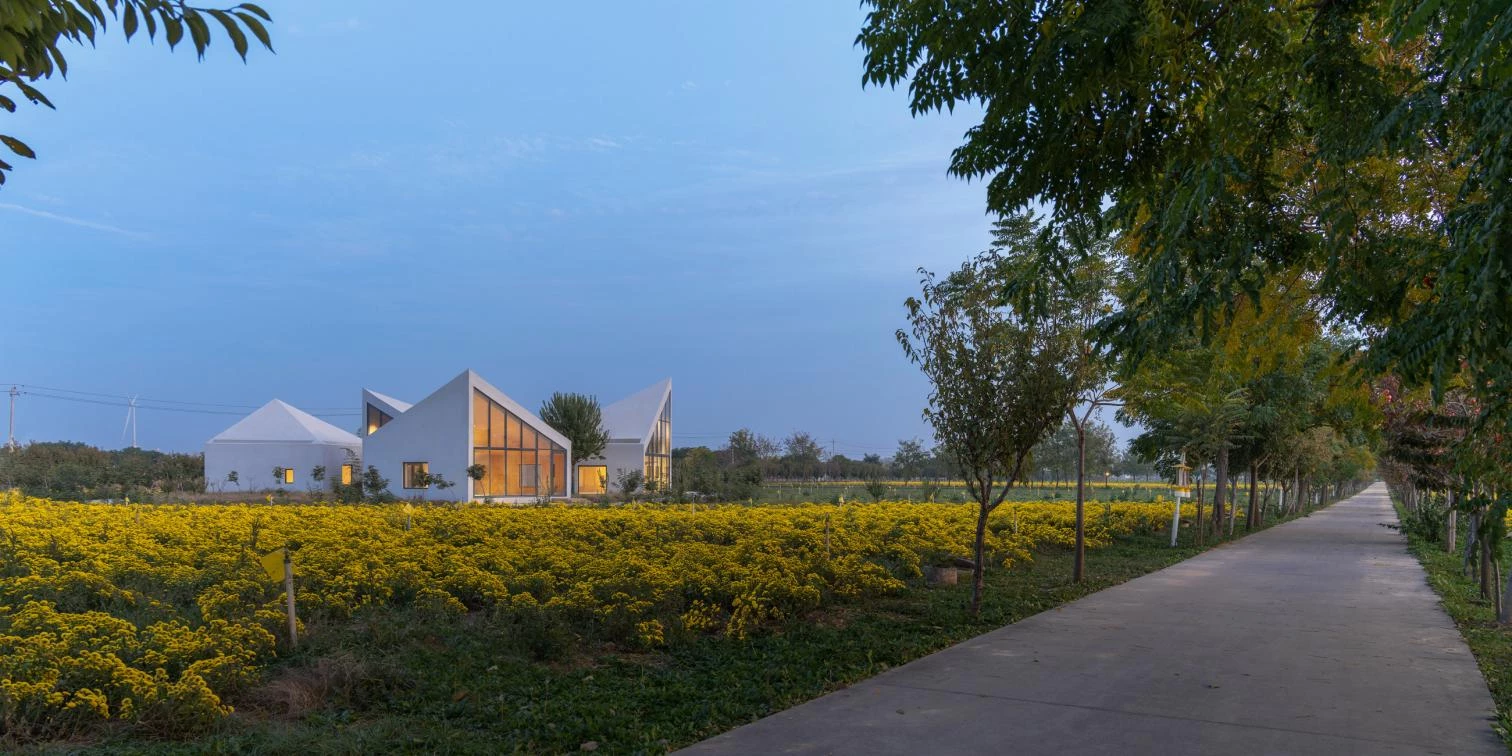 La Biblioteca en el Campo de Crisantemos de Hielo en Xiuwu