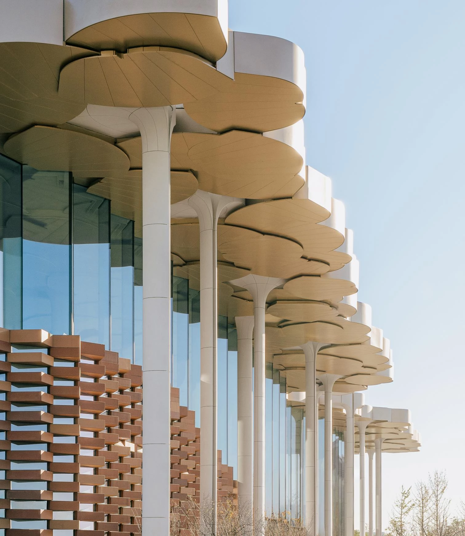 Biblioteca de la ciudad de Pekín