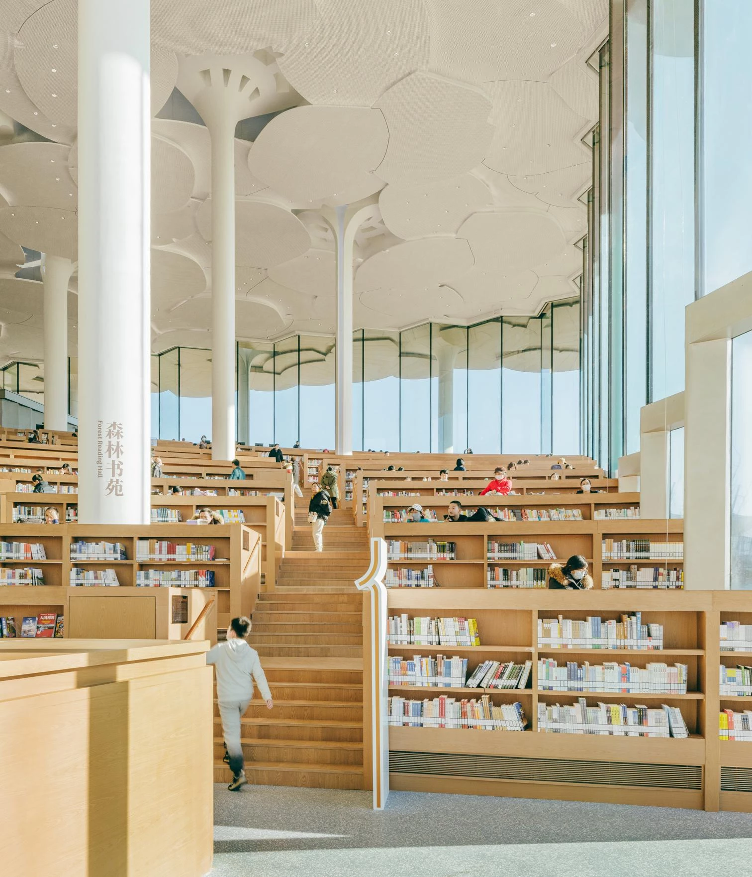 Biblioteca de la ciudad de Pekín