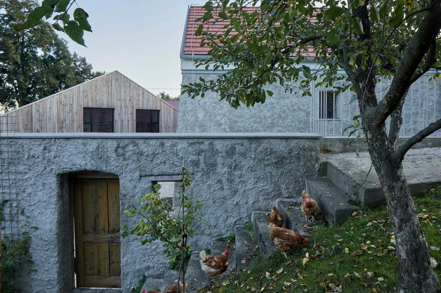 Casa nueva con molino antiguo