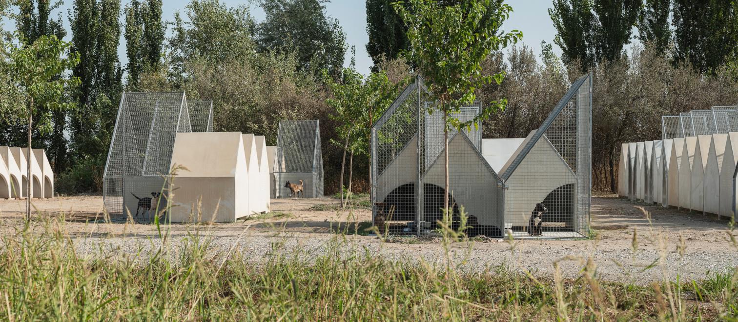 Centro de bienestar animal El Vivero en Granada