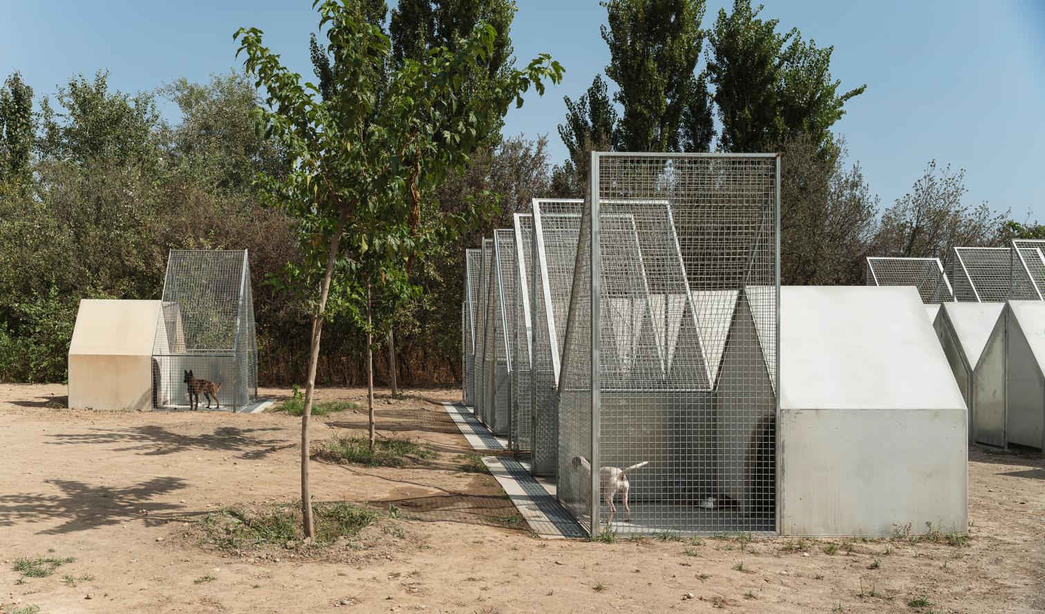 Centro de bienestar animal El Vivero en Granada