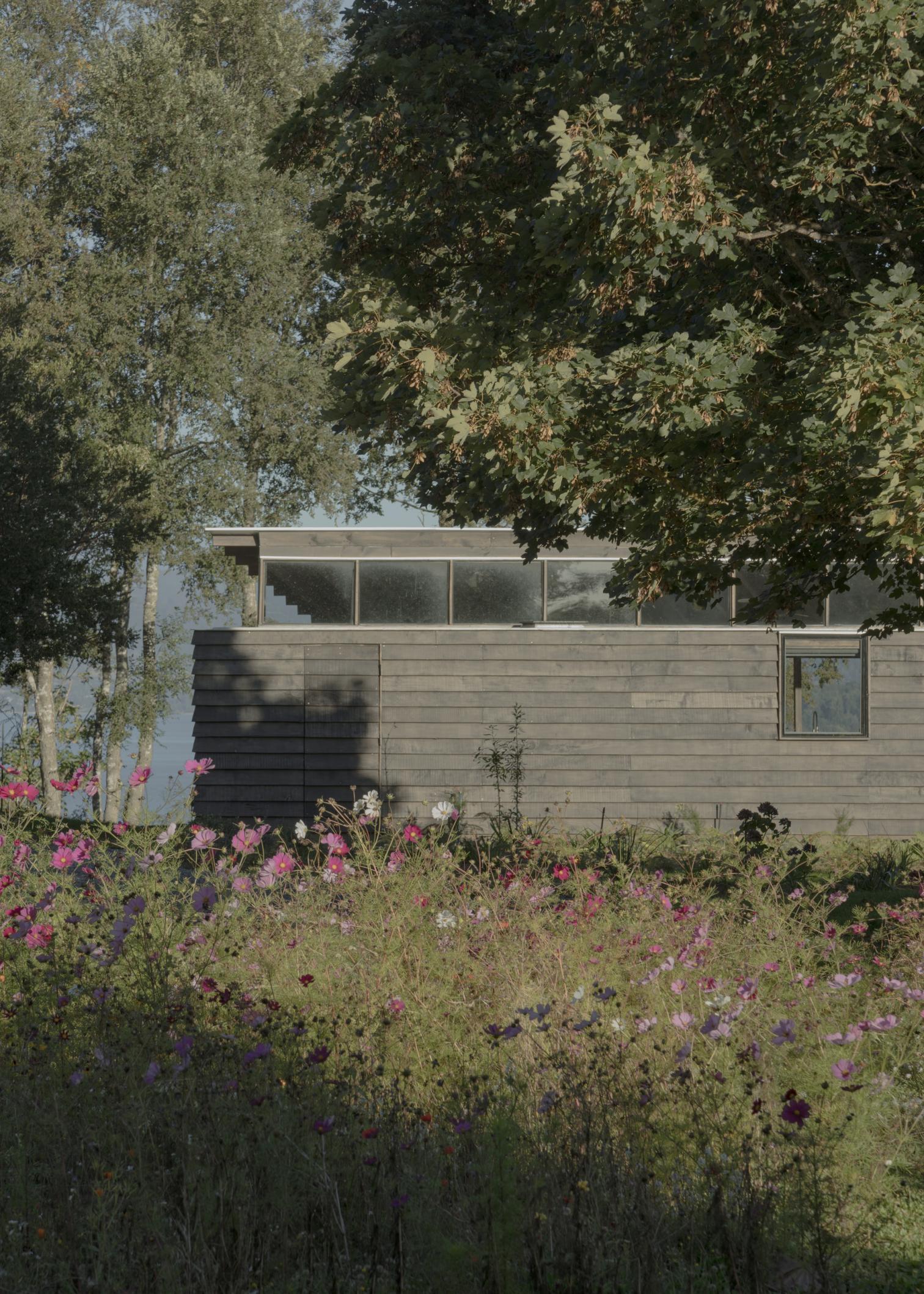 Puerto Nuevo House on Lake Ranco