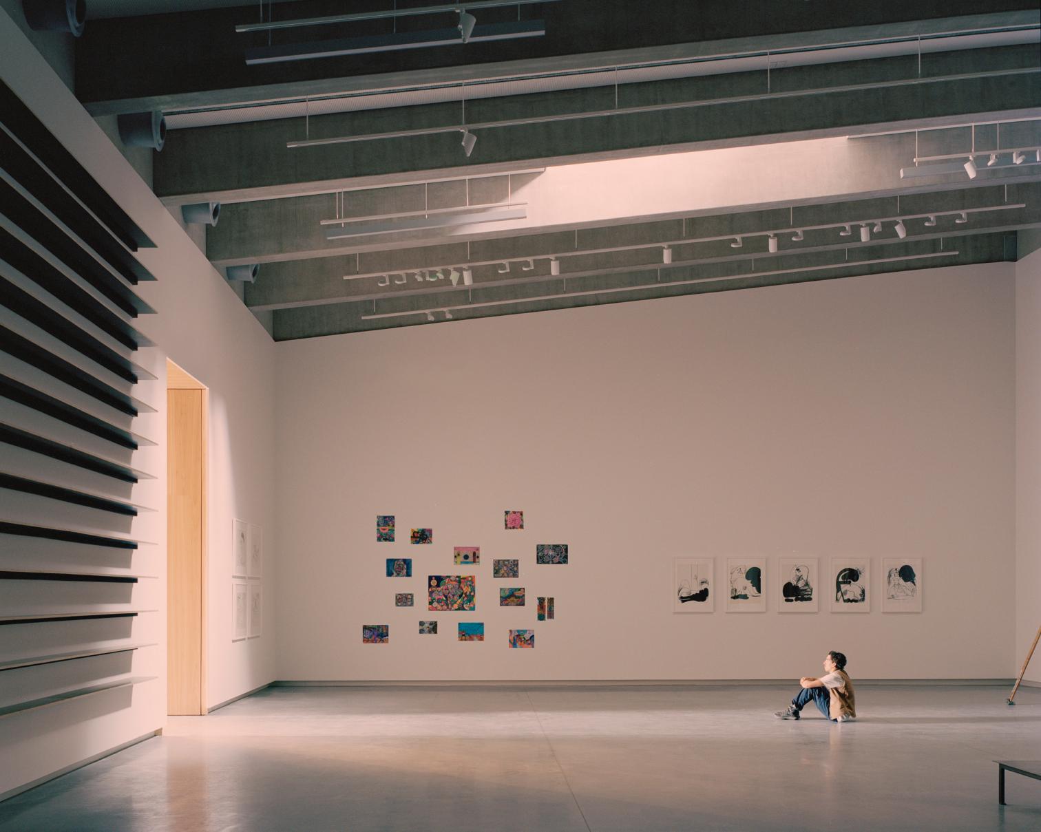 Bundanon Art Museum & Bridge in IIllaroo