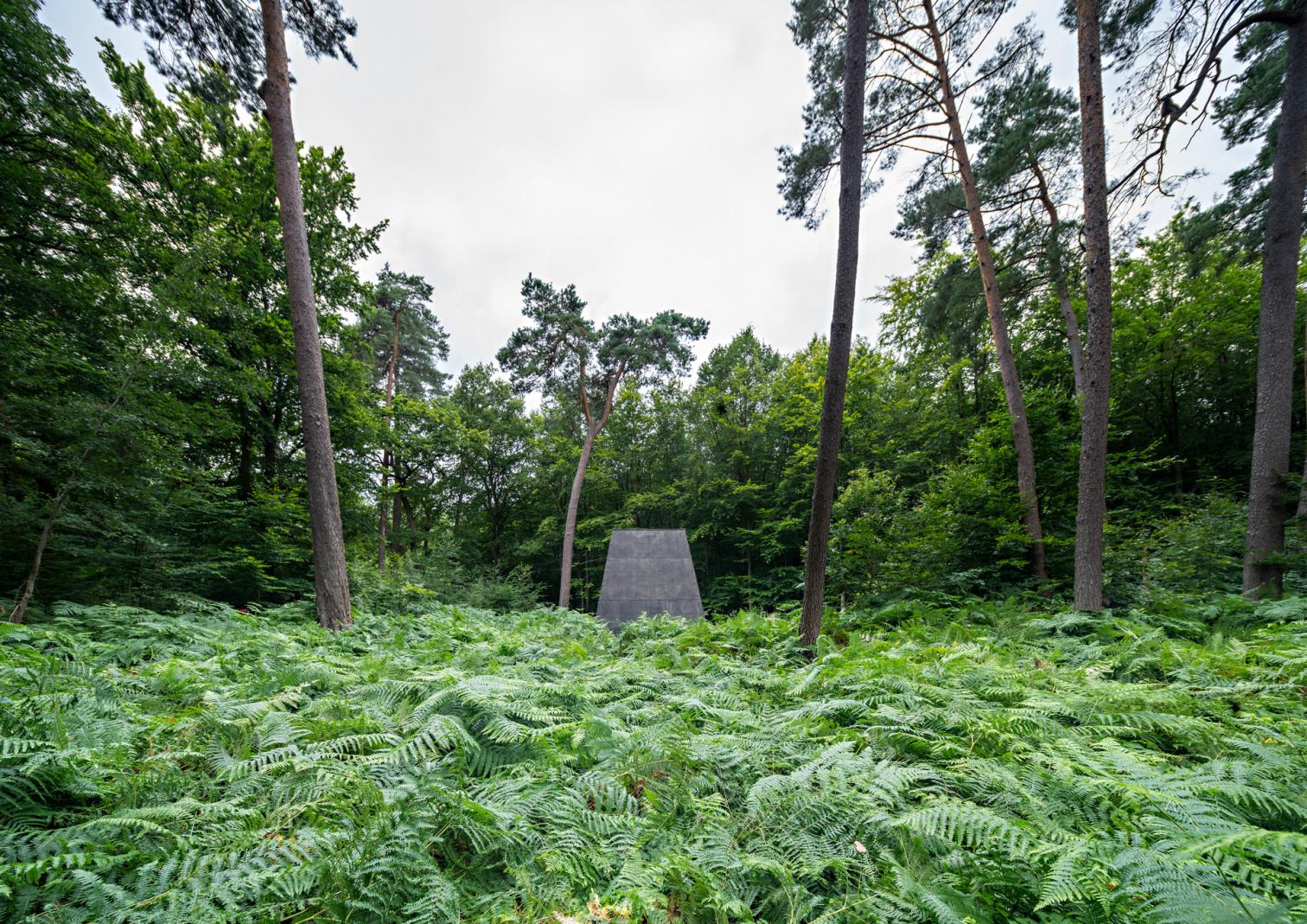 Compluvium, pabellón de la Forêt Monumentale
