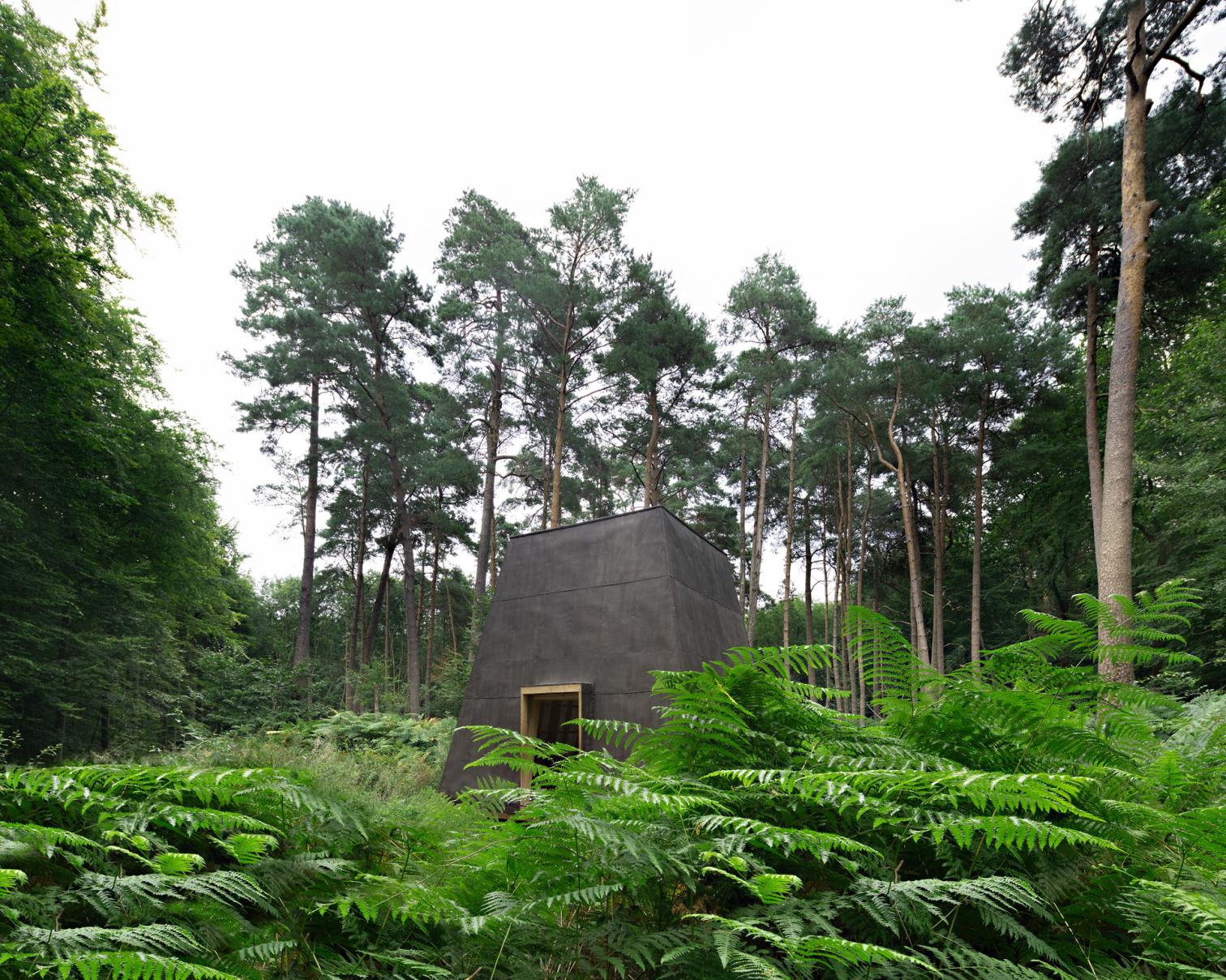 Compluvium, pabellón de la Forêt Monumentale