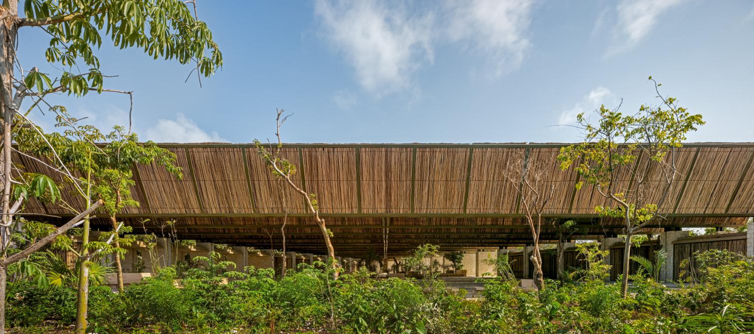 Jaguar Park, Tulum