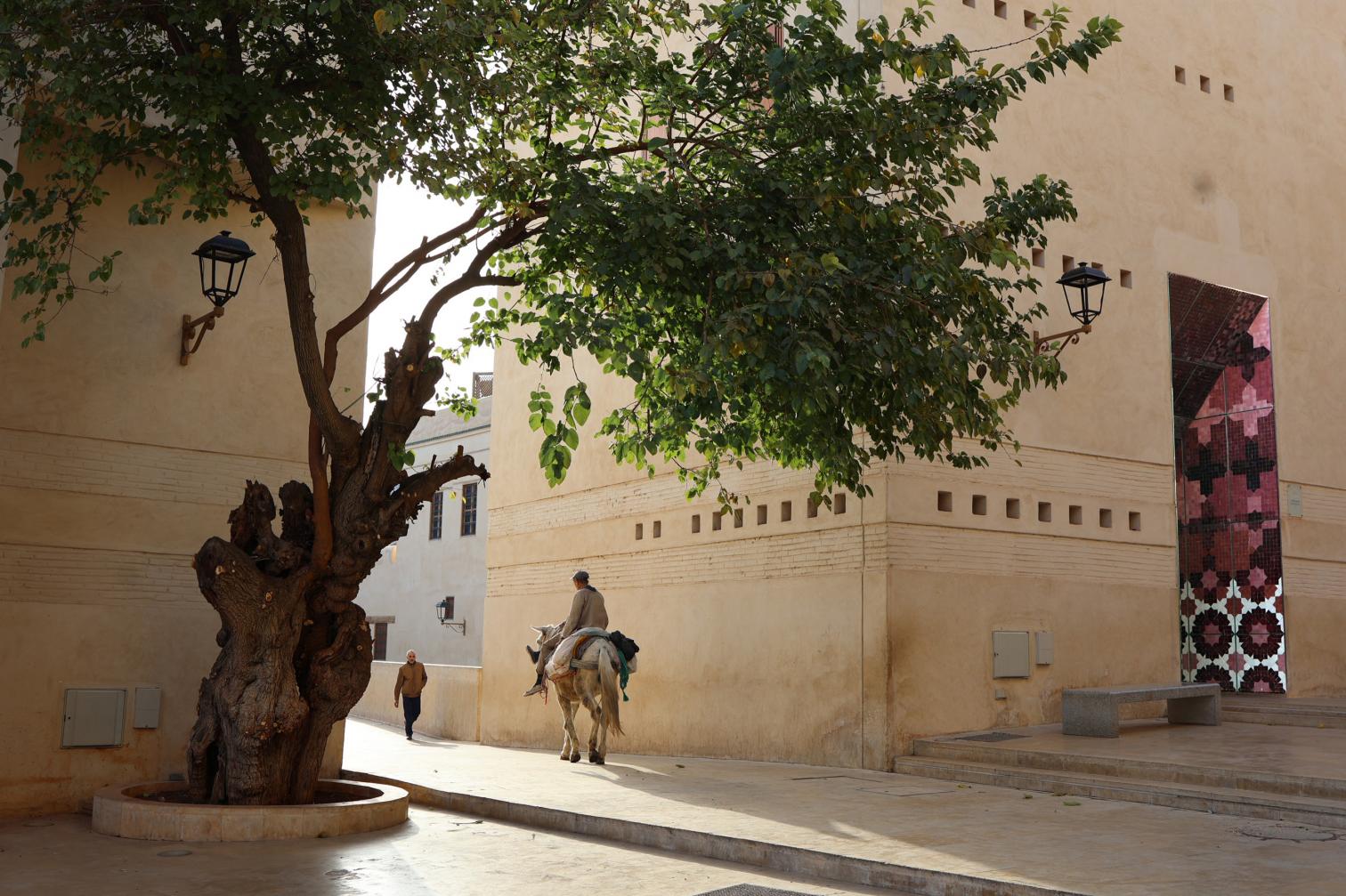 Revitalización de la plaza Lalla Yeddouna en Fez