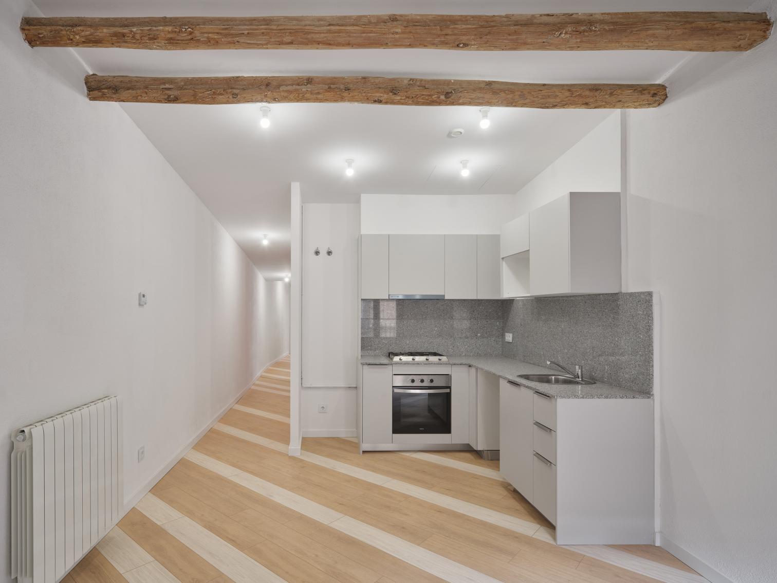 Lady Raval social housing in Barcelona