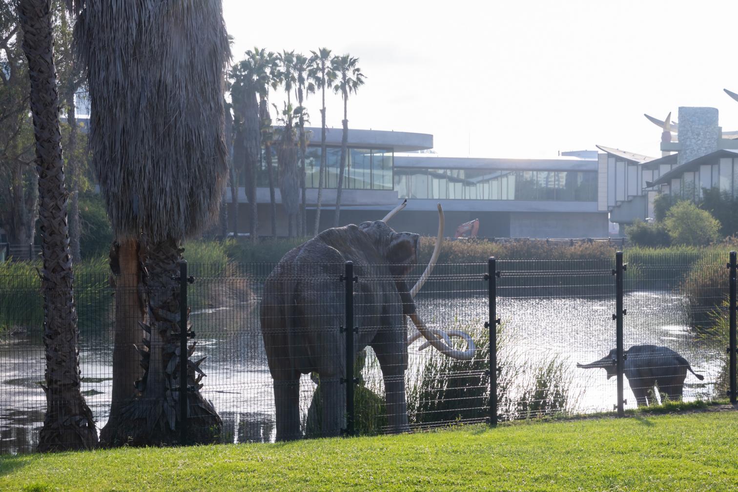 LACMA’s David Geffen Galleries