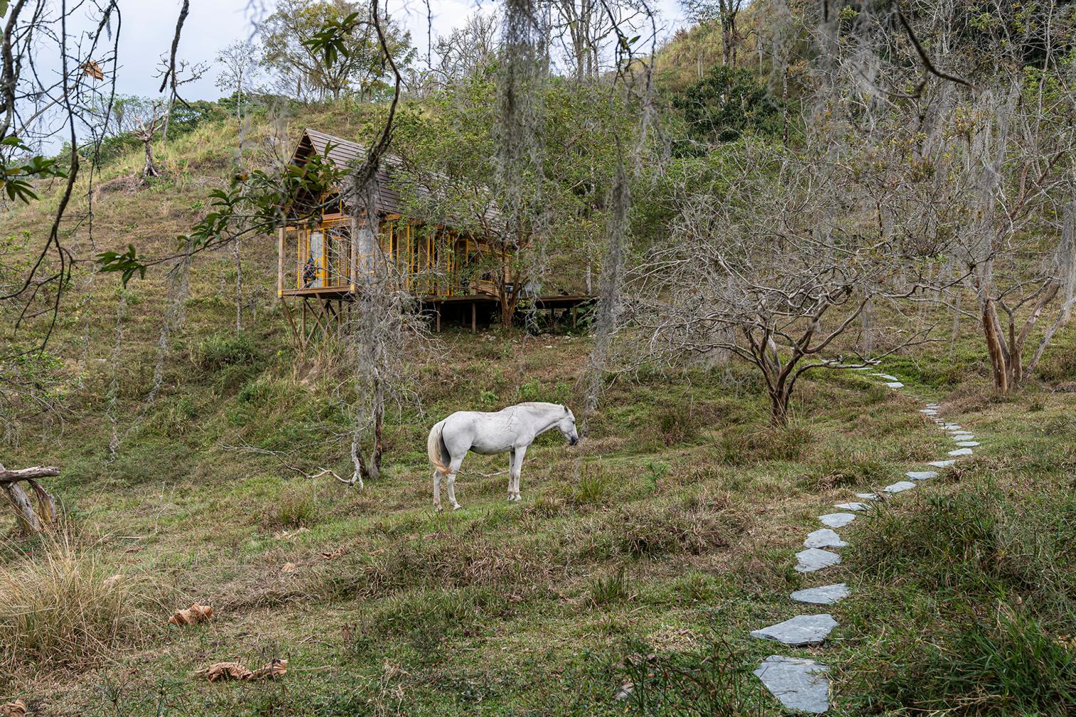 Lamarilla Reforestation House in Fredonia