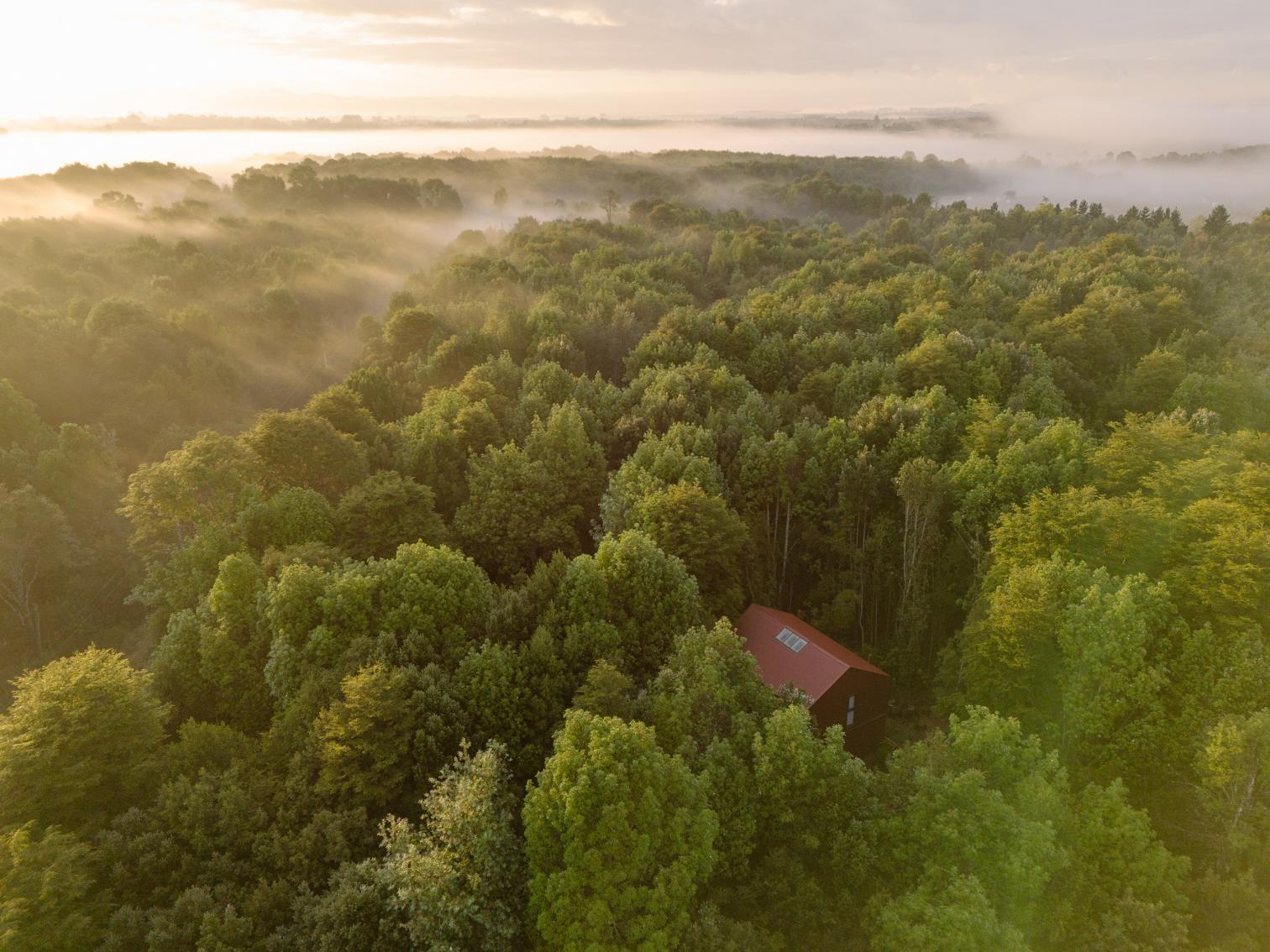 Casa en el Bosque, Puerto Varas