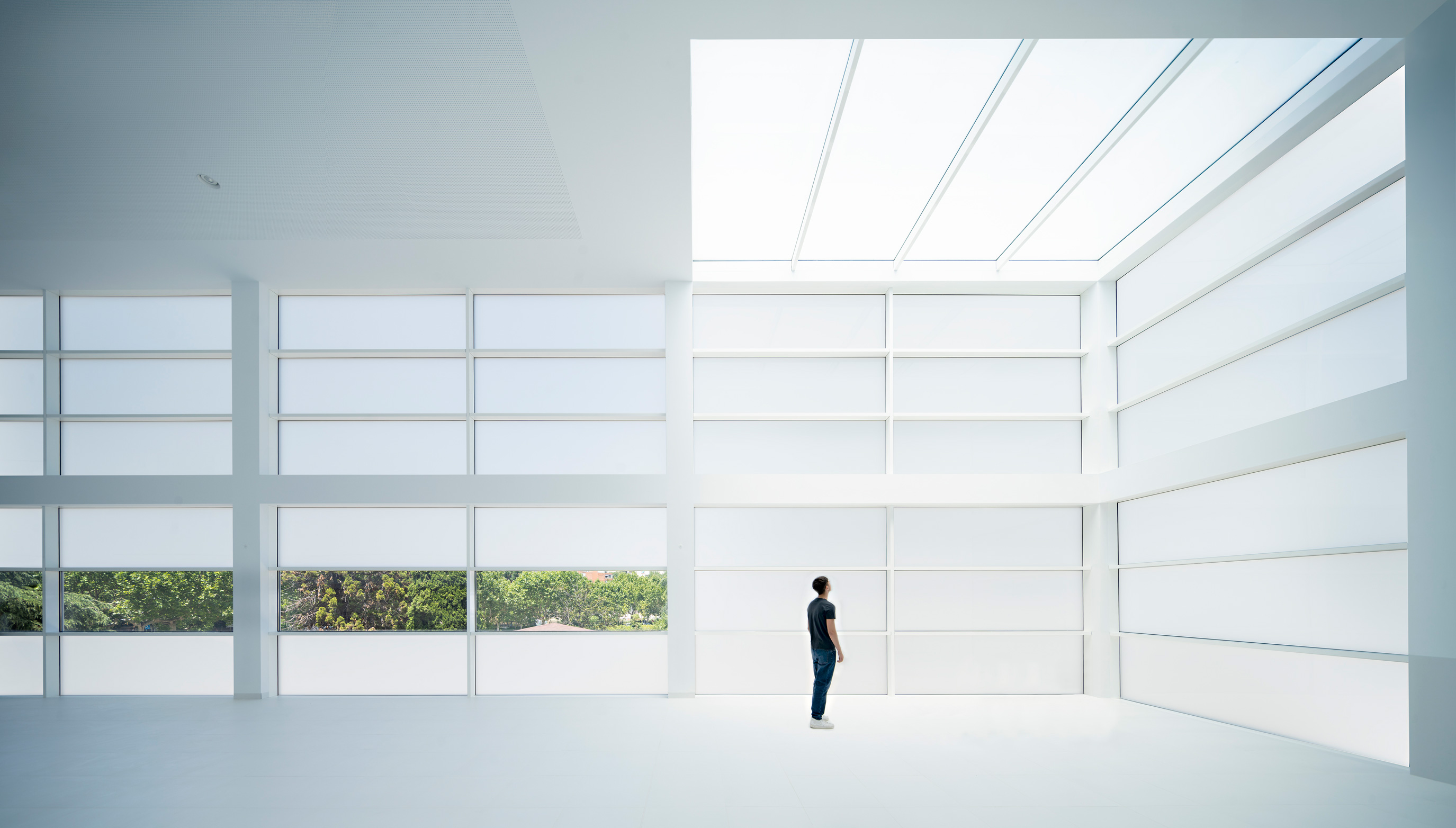 Biblioteca para el Liceo Francés de Madrid