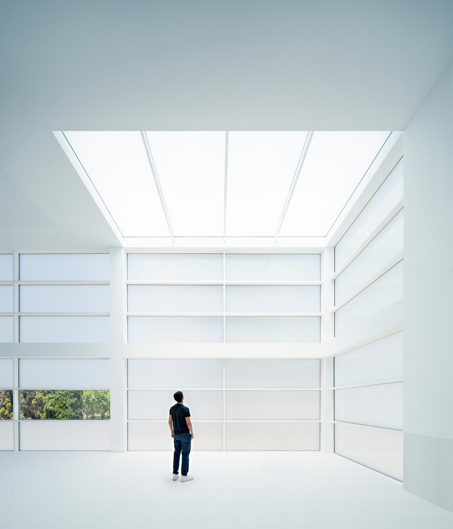 Library for Lycée Français in Madrid