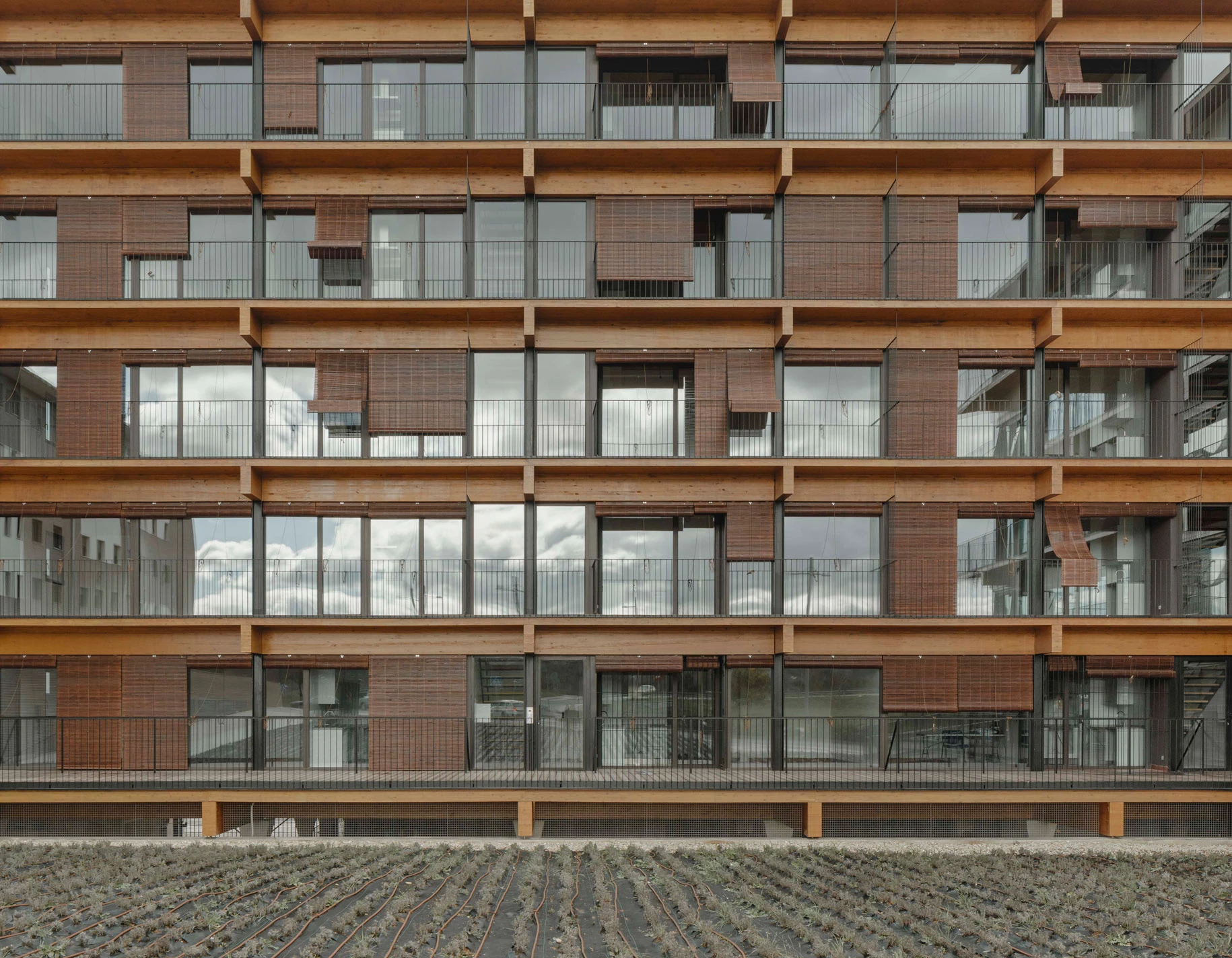 39 viviendas de protección oficial con estructura de madera en Navarra, con sistemas WICONA